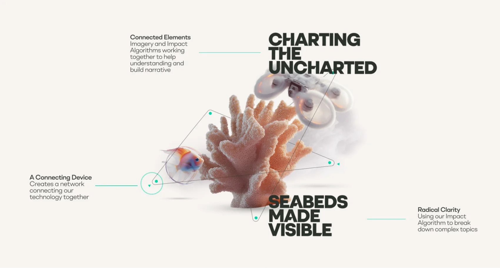 The 2025 brand system