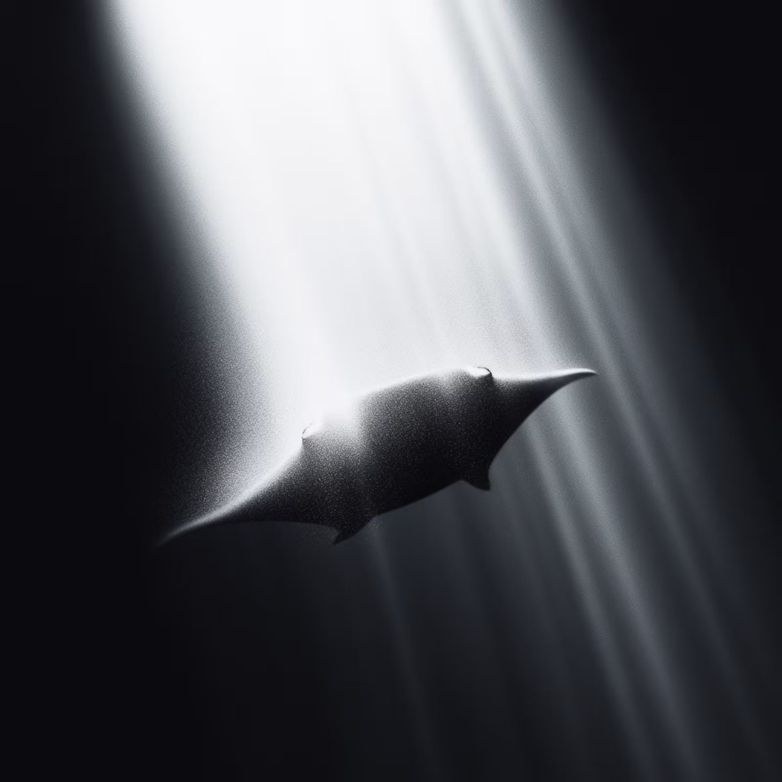 Vanishing — 5