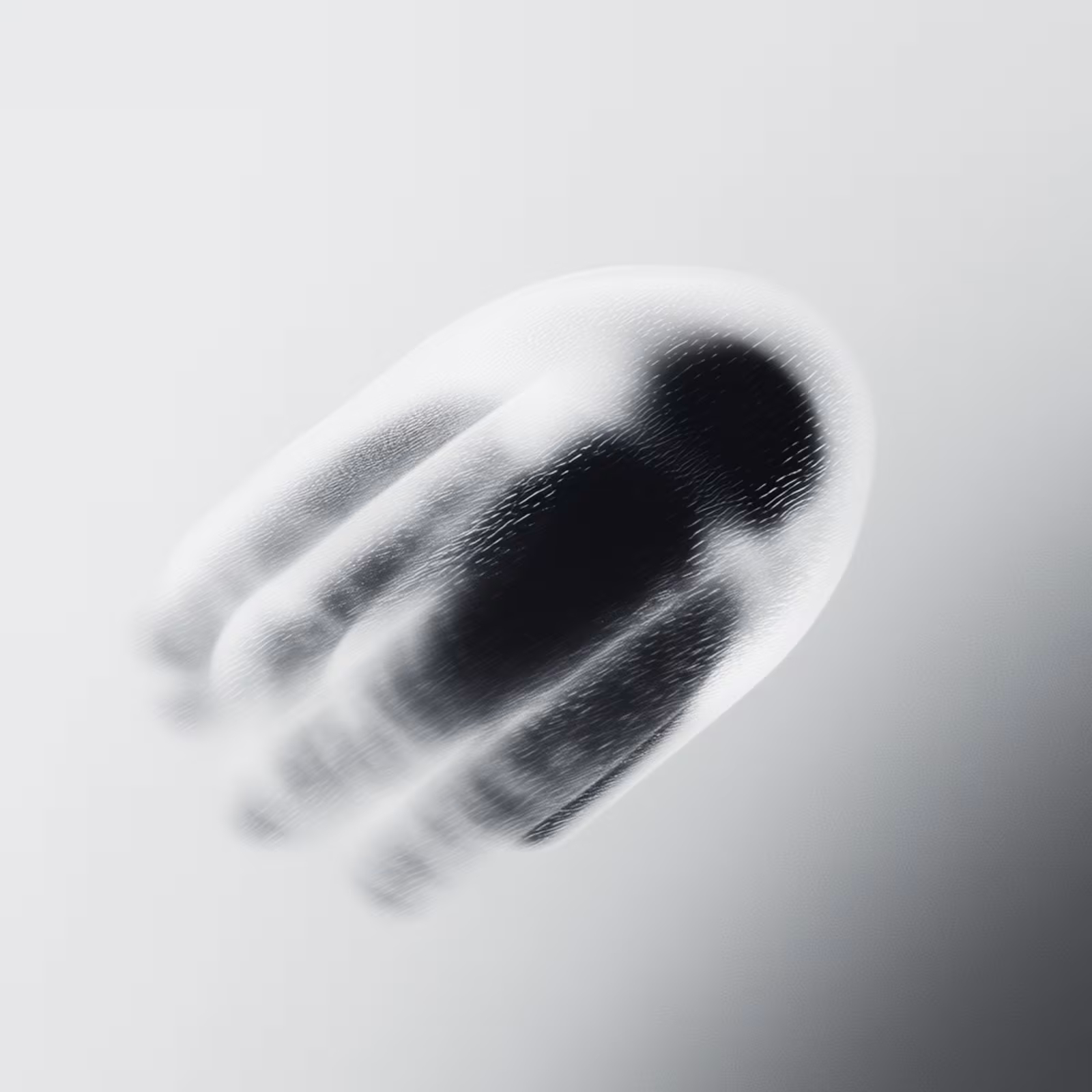 Vanishing — 11