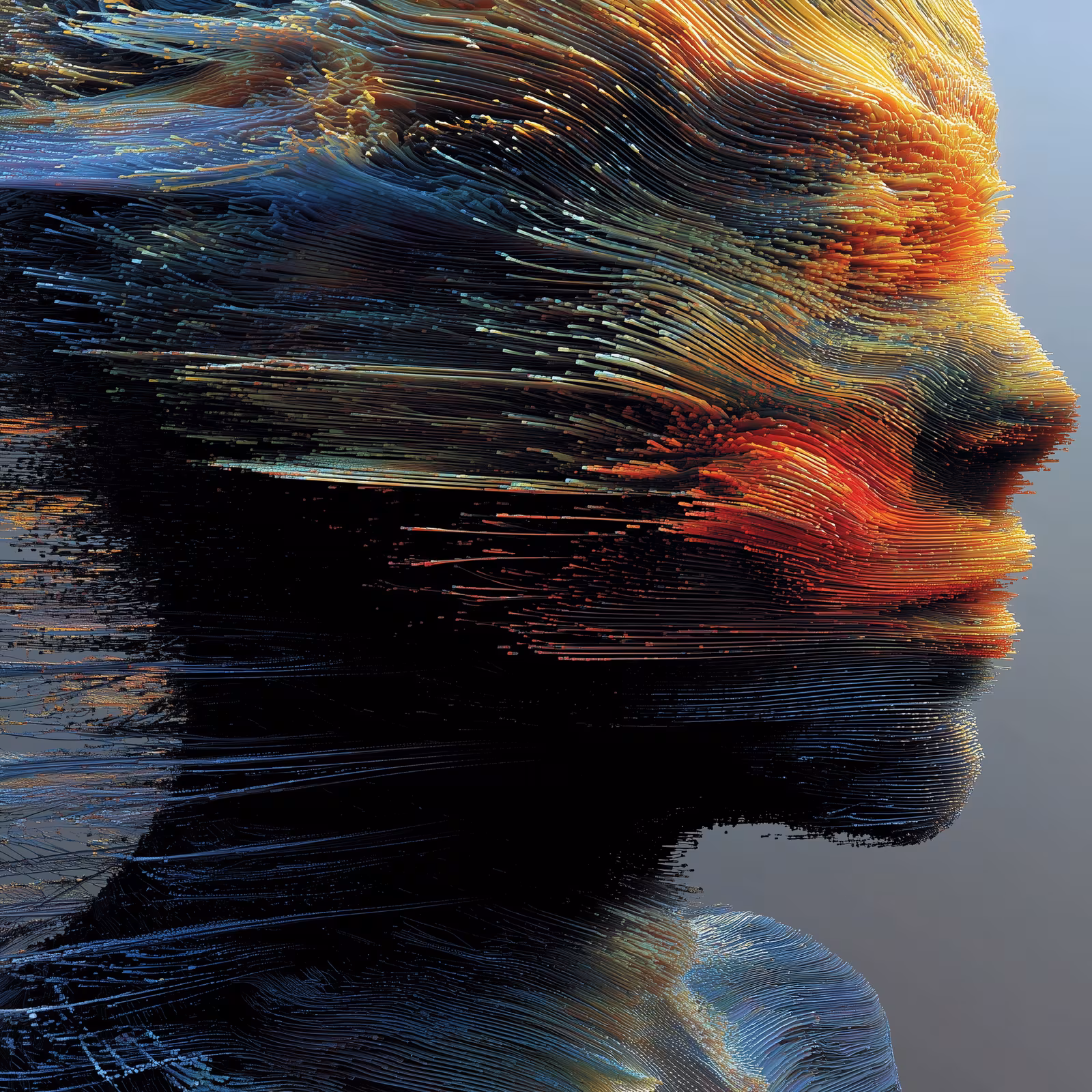 Velocity — 12
